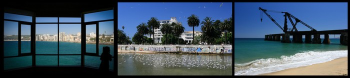 Chili Viña del Mar Ekla